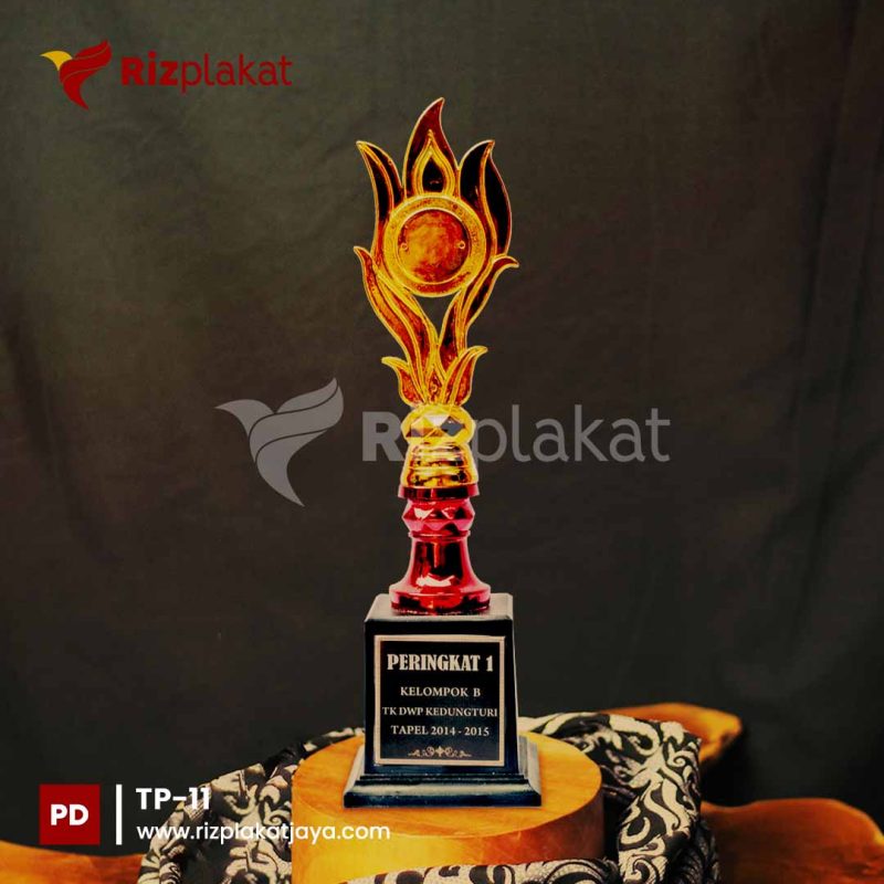 TP-11 Plakat plastik anak