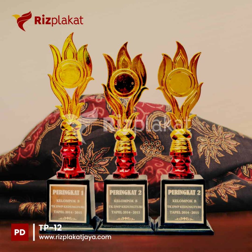 Trophy Plastik Siswa Berprestasi