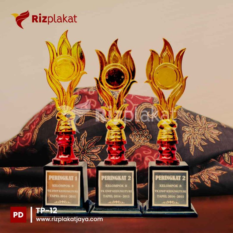TP-12 Trophy Plastik Siswa Berprestasi