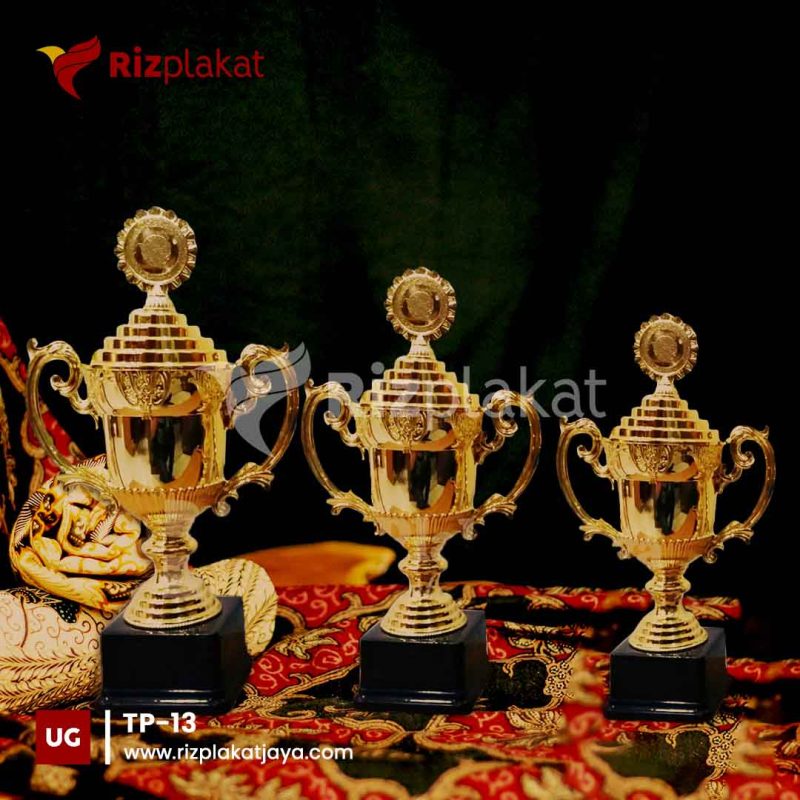 TP-13 piala bahan plastik