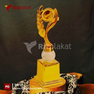 Trophy Plastik Seminar Nasional