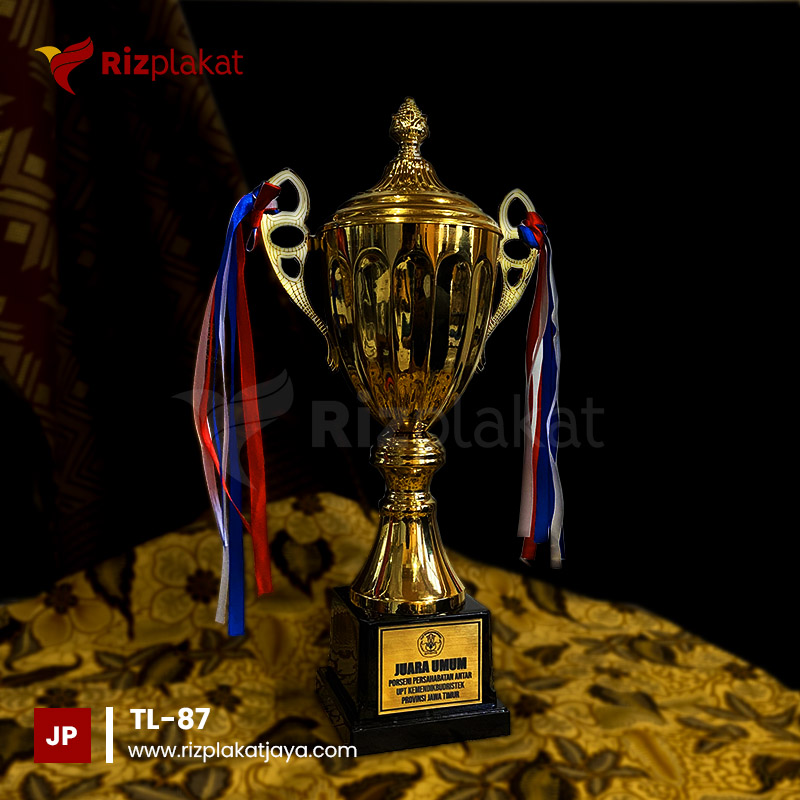 TL-87 Piala Logam Juara Umum