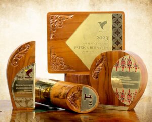 Dewani Series