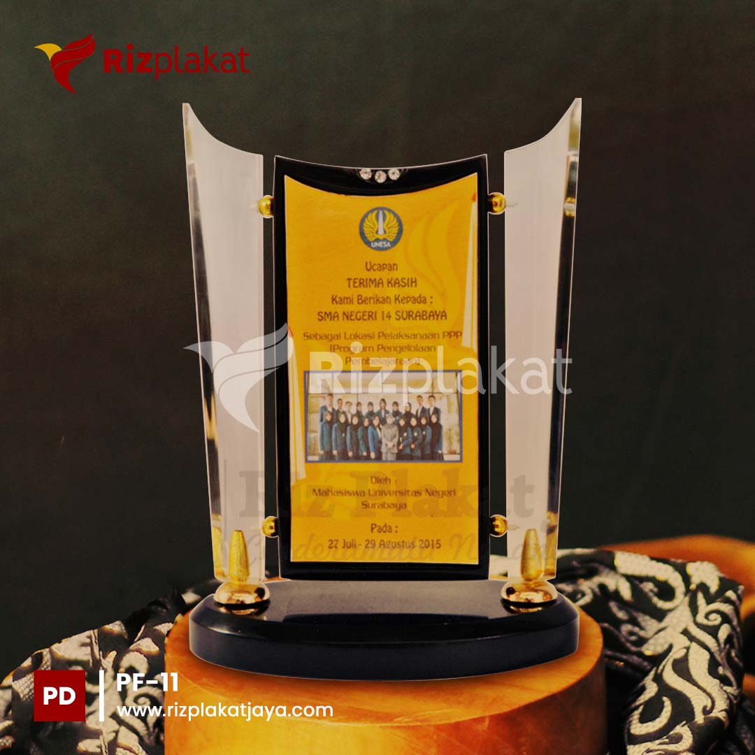 plakat fiber unesa