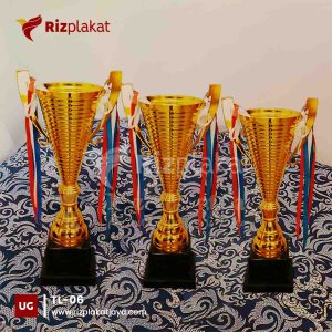 Piala Logam Set