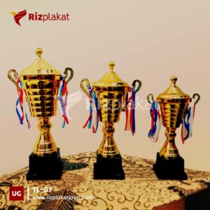 Trophy Logam Kejuaraan Cabang